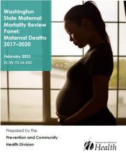 2023 Maternal Mortality Report