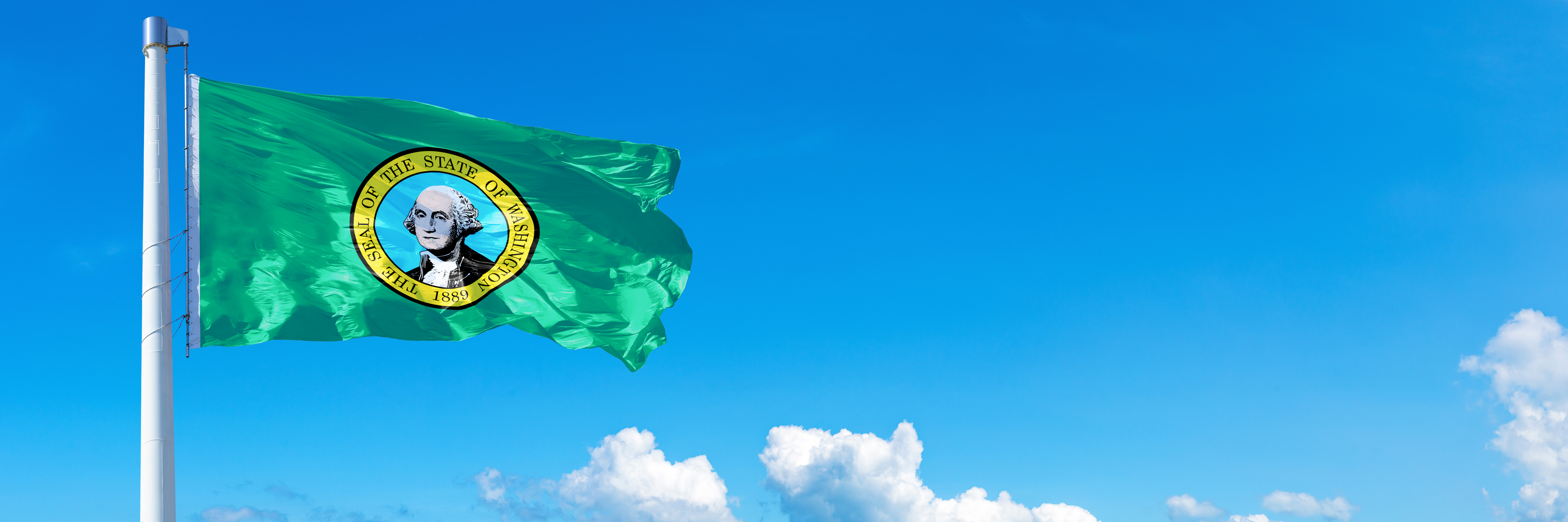 washington state flag with a sky background