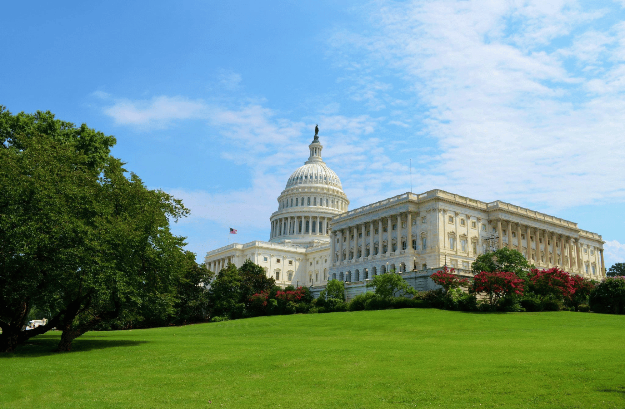 U.S. capitol with landscaped lawn in foreground.