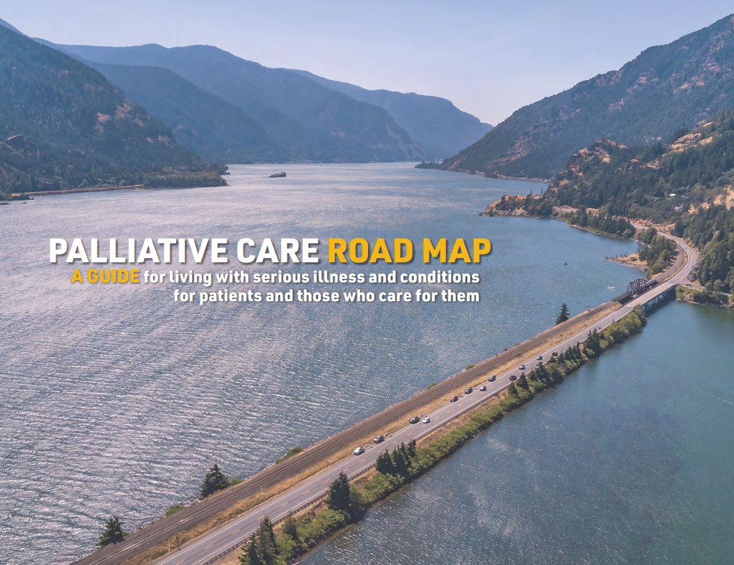 Palliative Care Road Map link