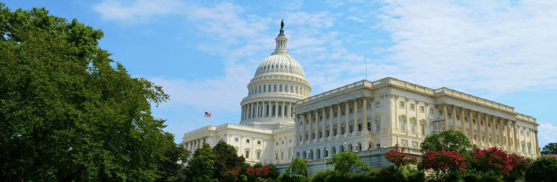 U.S. capitol with landscaped lawn in foreground.