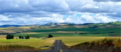 A two-lane road through Washington's rolling hills