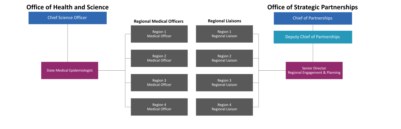 Regional health offices organizational chart
