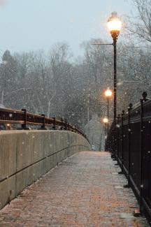 Snowy footbridge by Aaron Wilson on Unsplash