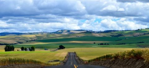 A two-lane road through Washington's rolling hills