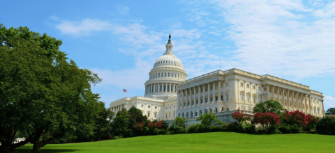 U.S. capitol with landscaped lawn in foreground.