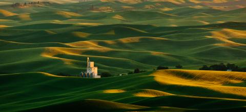 Rolling hills at sunset in the Palouse with a far-off building