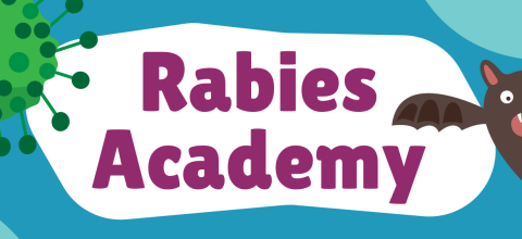 Rabies academy header.